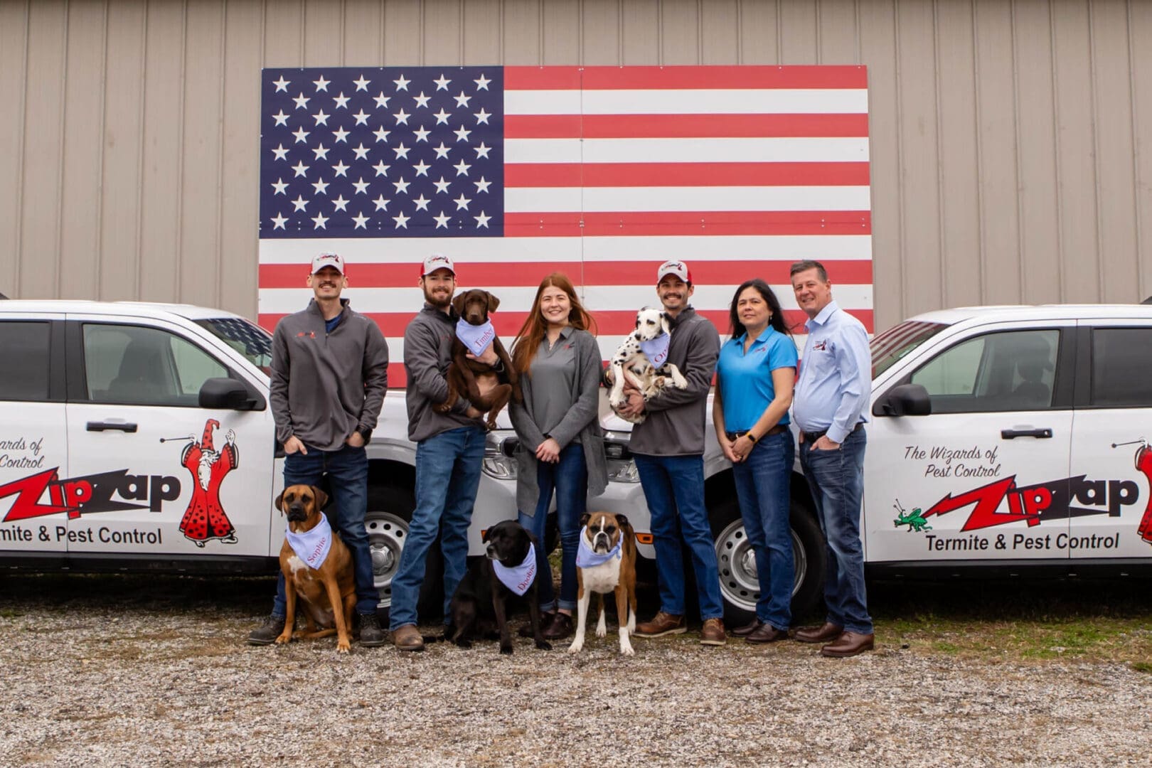 Pest control companies in Kansas City Pest Control Kansas City